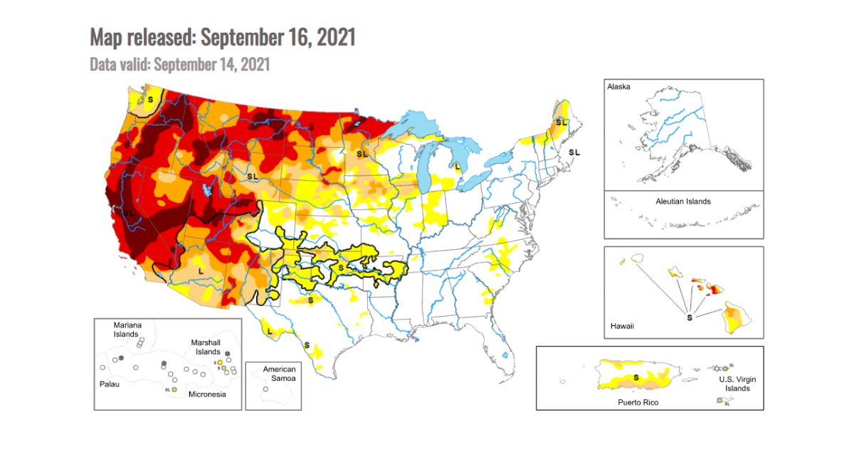 Dynamic Water Tech tweet media