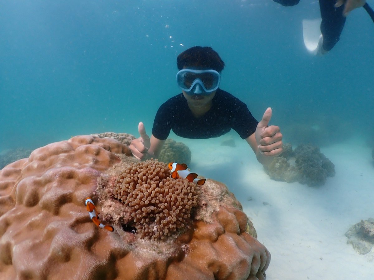 henghoeb's tweet photo. #Saranaetrip20121 https://t.co/raRUdFNjzu