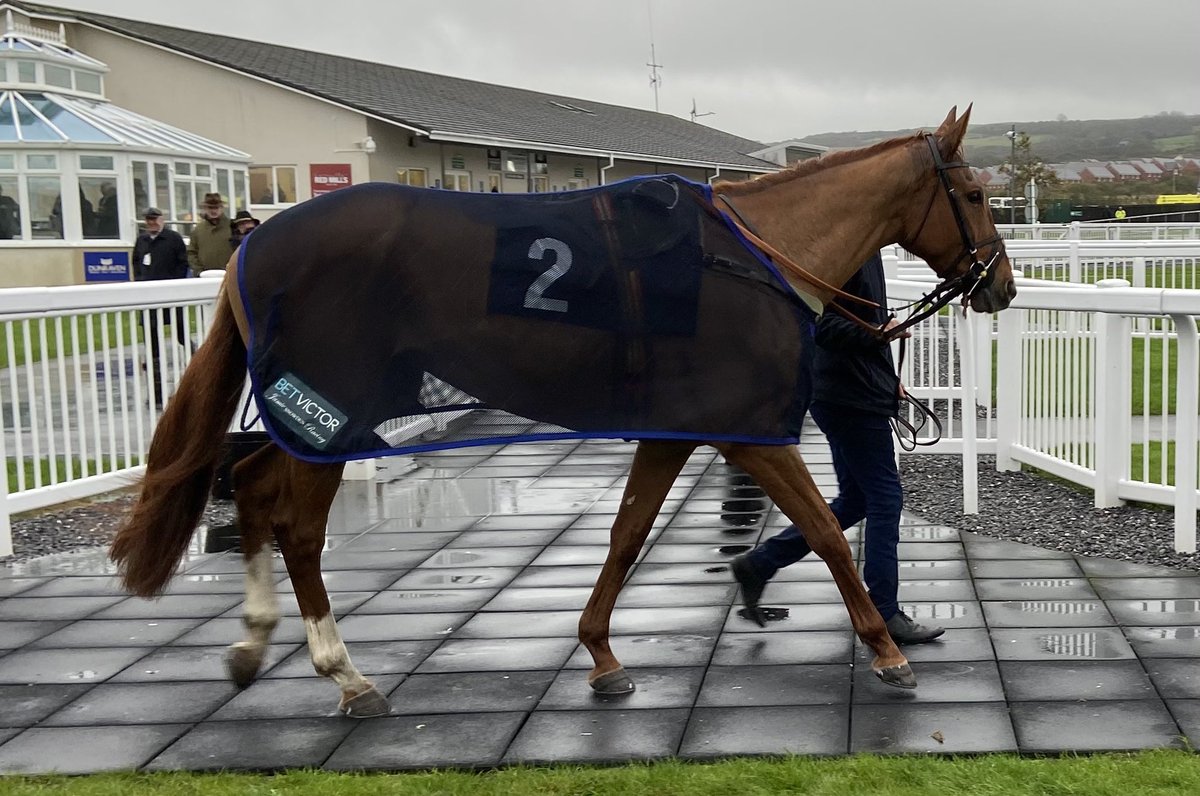 jamiesnowden's tweet photo. So pleased to see #LegendsRyde back to her brilliant best #winning today on chasing debut @FfosLasRC under @GavinSheehan92 Big well done to Gordon who rides her each day. Fabulous result, especially picking up the @GB_Bonus @BetVictor #winners https://t.co/n1FenlgMb8