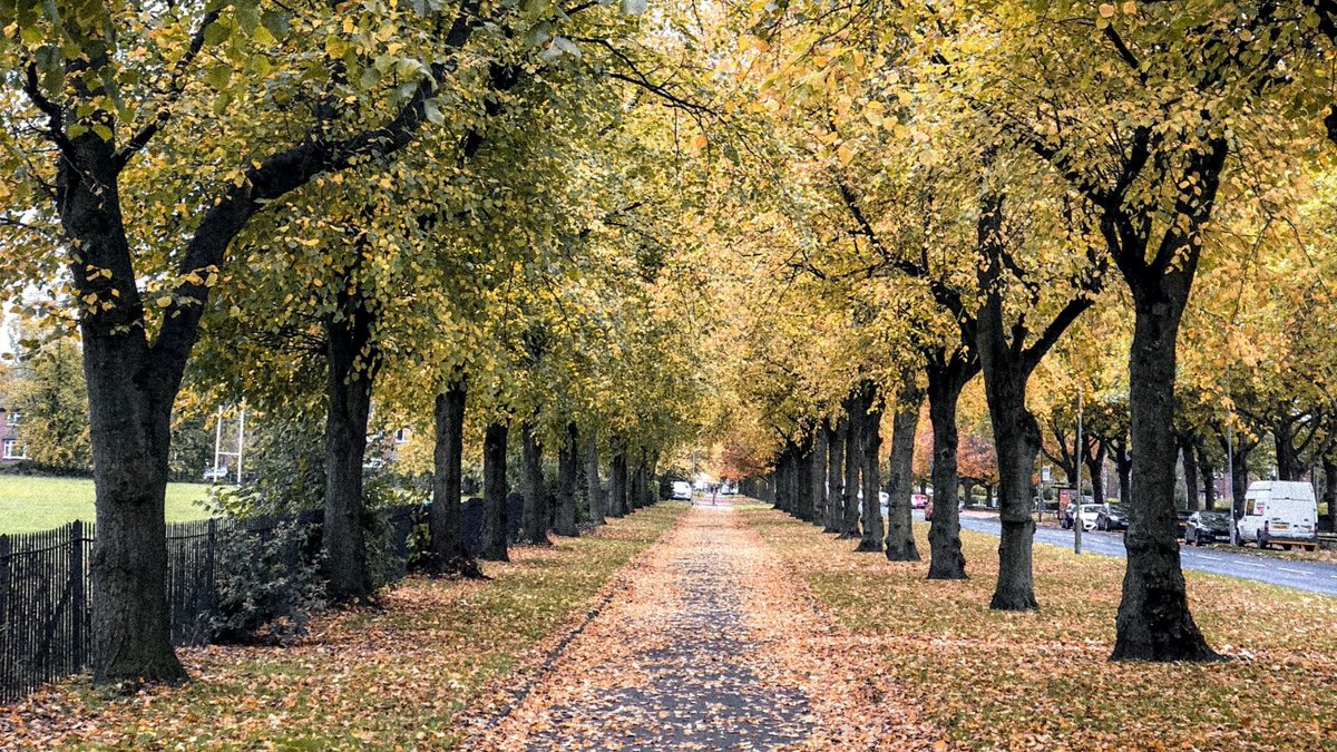 🍃Parks and green spaces are at the heart of our neighbourhoods, and we need to look after them.  

💜Do you have a project idea to improve a local park? 

🤝Let's work together to make it happen.  

Funding applications are open until 31st October. 👇 
orlo.uk/7nPQf