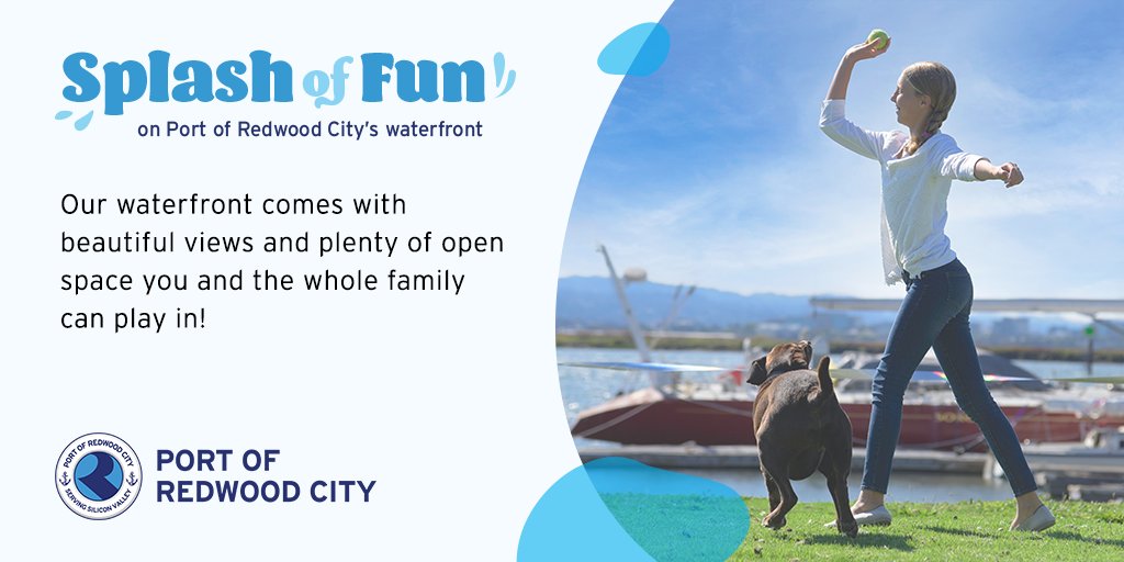 RedwoodCityPort's tweet photo. It's not too late to throw it back to the dog days of summer and invite friends, famility and four legged furry pals to play on our waterfront green spaces! πΆ#SplashofFun https://t.co/S14T8XdqS7