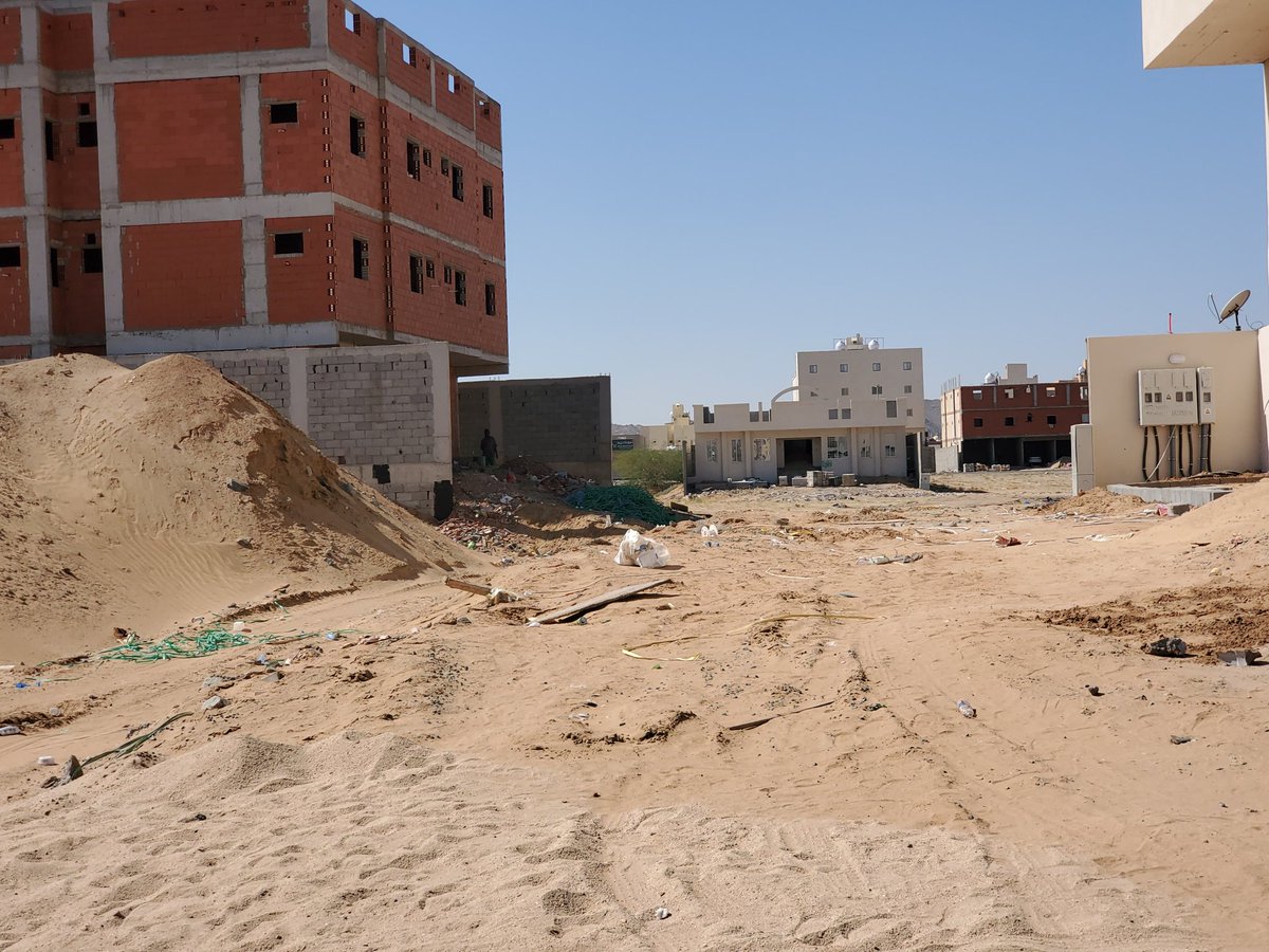 وطن المجد tweet media