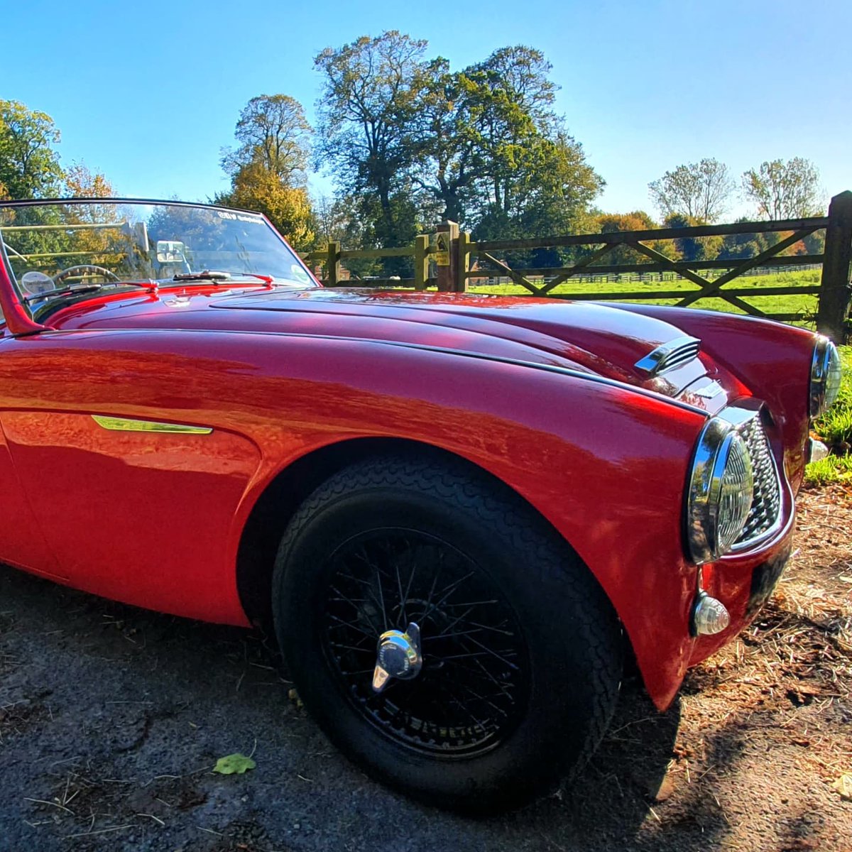 rubythehealey's tweet photo. The last rays of autumn #austinhealey #healey3000 #classiccar #petrolhead https://t.co/rA3lUlVTVj