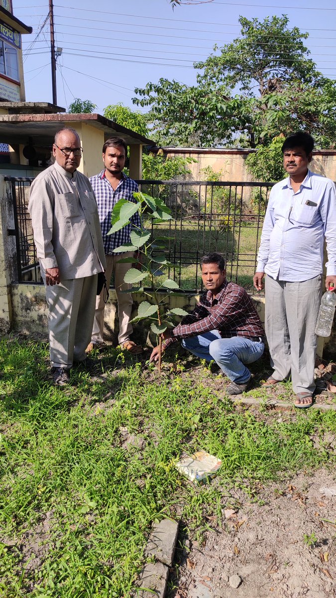 DrSatya40008824's tweet photo. कुशीनगर में देव वृक्ष पीपल का पौधा लगाते हुए..#selfiewithsapling #dmgopalganj #Kushinagar #kushinagarinternationalairport #बिहारसरकार #buddhapgcollage #GoGreen #greenindia #greenkushinagar #उत्तरप्रदेशसरकार #ignu #जलजीवनहरियाली https://t.co/PXK5NqeHai