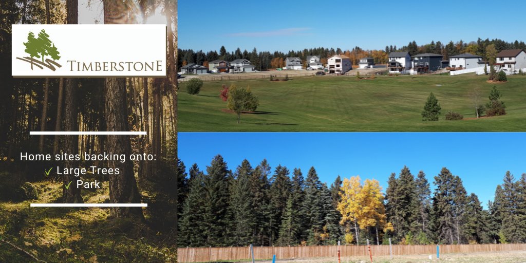 laebonhomes's tweet image. Beautiful anytime of the year 😍 

#Timberstone #YouCouldLiveHere #newhomes #customhomes
👉 laebon.com/timberstone