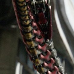 Binge Watch This tweet media