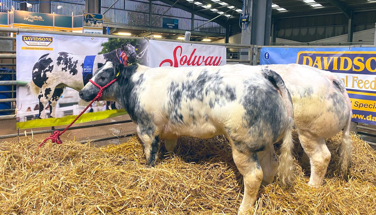 #BorderwayAgriExpo2021 is almost here! 🐝 

Come along to stand 62 tomorrow for a cuppa and a chat with the Davidsons team☕️ 

We even have some special visitors on stand the stand👀🍑 @HHFarmstock
