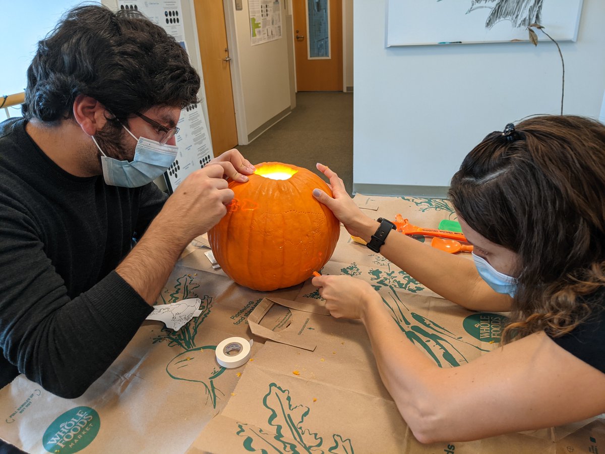 Hsieh Lab (@hsiehlab) on Twitter photo Our 2021 <a href="/fredhutch/">Fred Hutch Cancer Center</a> Pumpkin Carving Contest Submission! See our description below, its thoughtful and timely. All credit to the lab, I was/am holed up grant writing... Please rock the vote for most artistic. Our 2021 <a href="/fredhutch/">Fred Hutch Cancer Center</a> Pumpkin Carving Contest Submission! See our description below, its thoughtful and timely. All credit to the lab, I was/am holed up grant writing... Please rock the vote for most artistic.