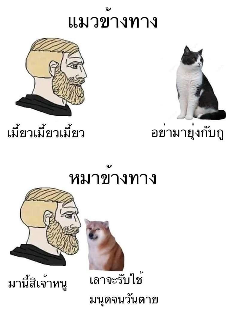 LORD 𓆇 tweet media
