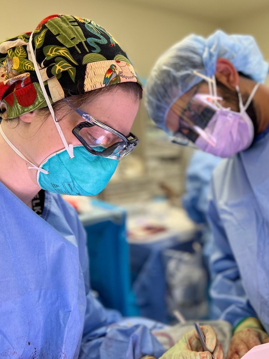 Congratulations to <a href="/UCSF_EastBay/">UCSF-East Bay</a> chief resident Rebecca Gologorsky who matched @OHSUsurgery for her colon and rectal surgery fellowship!🔪  #colorectalmatch #OHSUColorectal <a href="/ASCRS_1/">ASCRS_1</a>