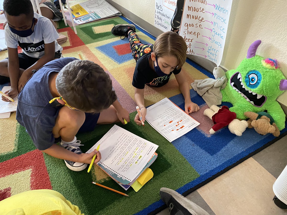 lwaterfield13's tweet photo. Before working as a class, partners read to find words with the long i sound and spelling patterns. We double checked as a whole group! So proud of these persistent kiddos! @galatowitschR @galatop2 #secondgradersrock https://t.co/M5wjXUazzJ