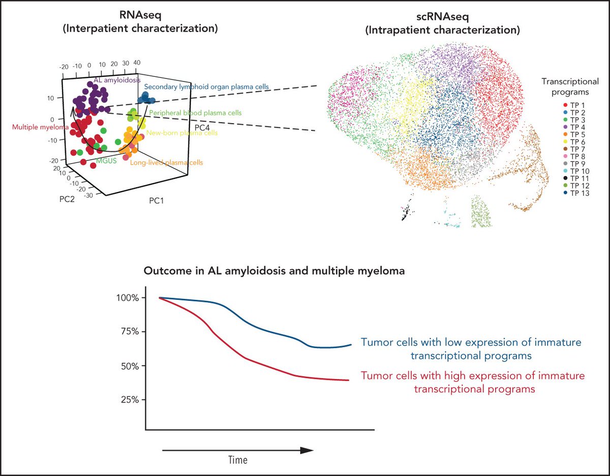 Keith Stockerl-Goldstein, MD 😷 tweet media