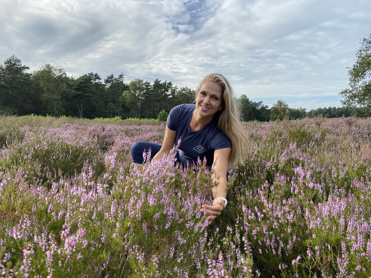 My Peak Challenge tweet media