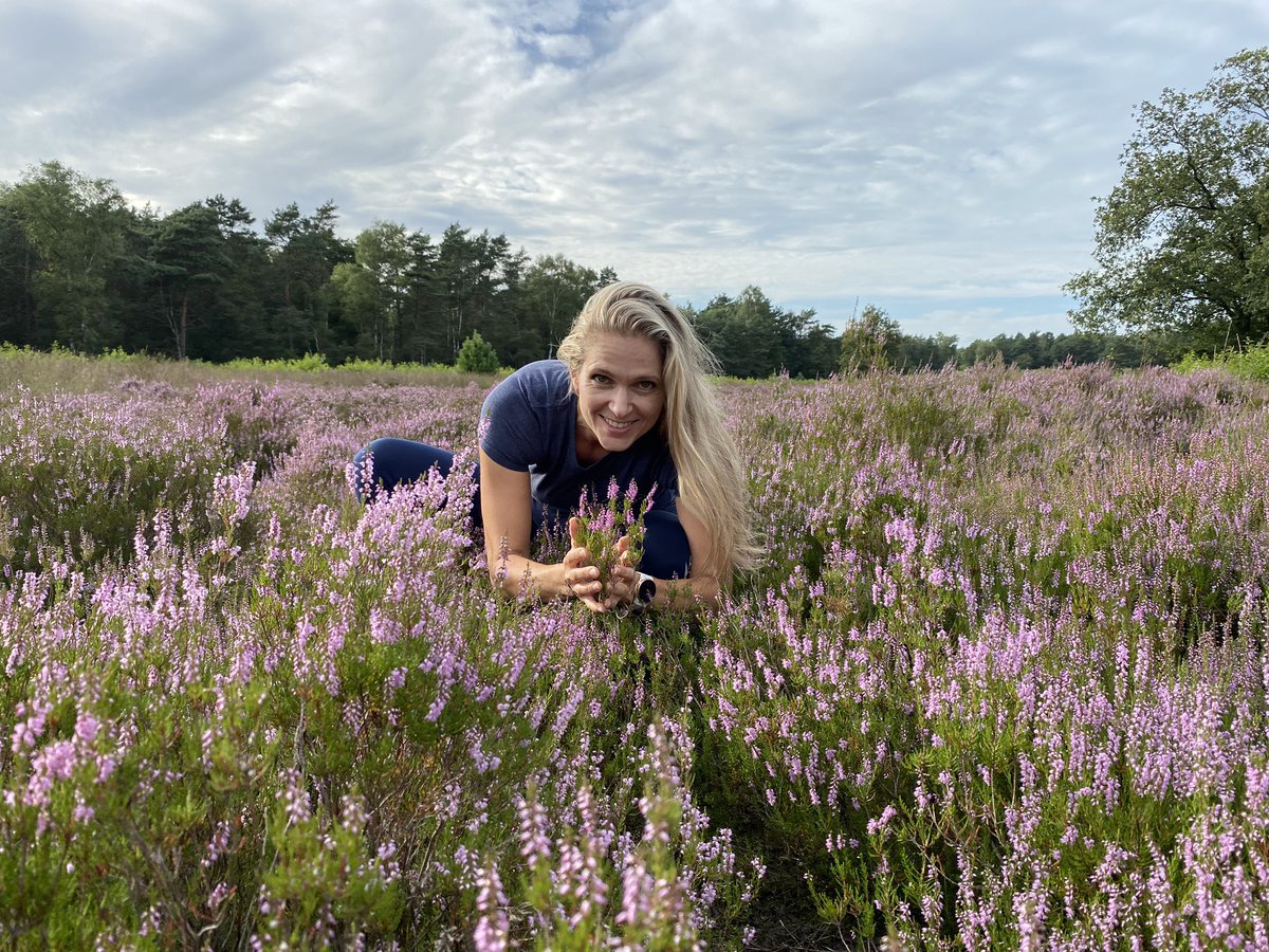 My Peak Challenge tweet media