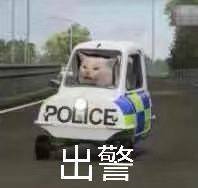 妈蛋不要找我做推广，我玩推特是为了寻开心和自信心，老子又不靠推特过活，不想打菠菜和假阳具的广告，真的烦了。 https://t.co/3MPSgXTjF4