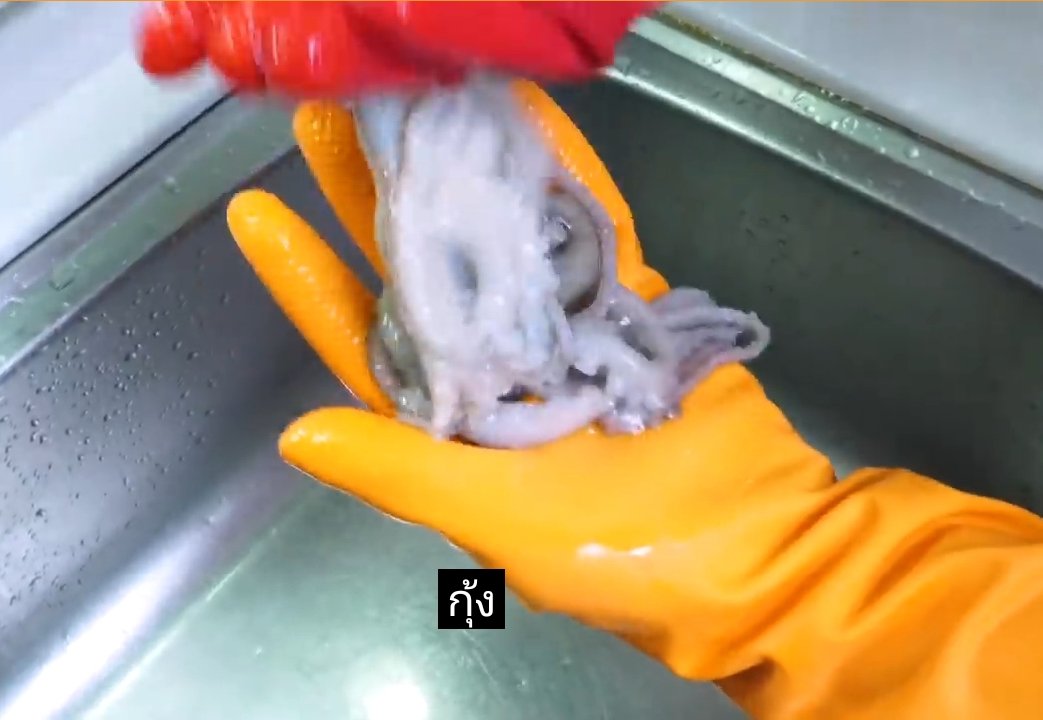 กุ้งก็กุ้งวะ