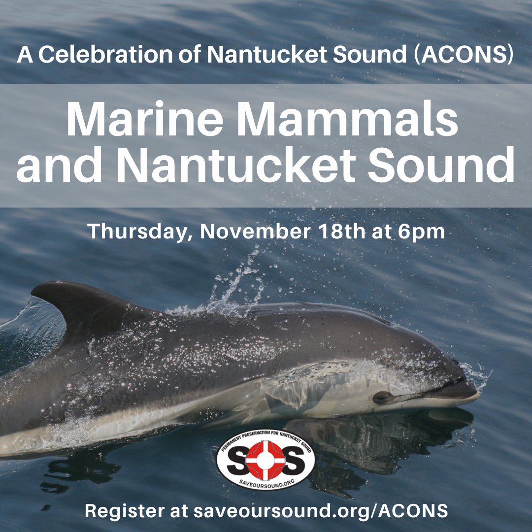 Have you signed up for our November webinar yet?
This webinar will be all about marine mammals and Nantucket Sound with guest speaker Regina Asmutis-Silvia, the Executive Director of the Whale and Dolphin Conservation.
 
To register, go to saveoursound.org/ACONS