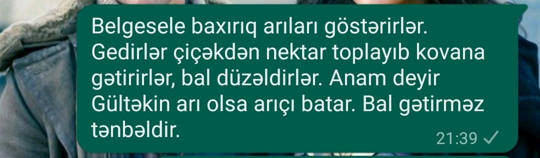 niketluG23's tweet photo. Why da başına dönüm why? 🙄 https://t.co/OqIJLHuX5V