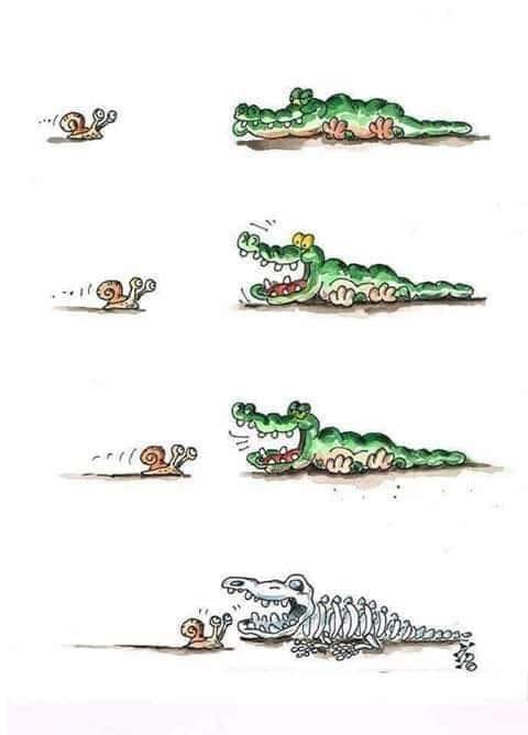RAmbagala's tweet photo. "ඉවසීමෙන් සැනසීම ලැබේ" 
- ගොළුබෙල්ලා -
"ප්‍රමාදය පසුතැවිල්ලට හේතු වේ"
- කිඹුලා - https://t.co/TKEF2W7gc7
