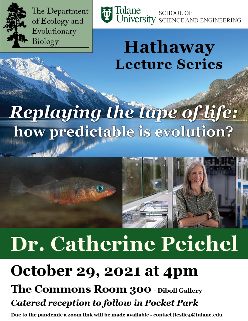 EE Biology at Tulane tweet media