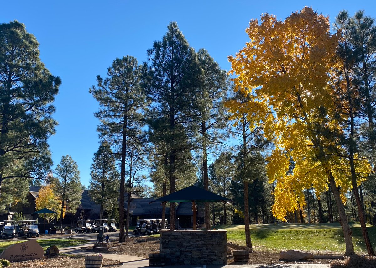 TorreonGolf's tweet photo. In a world  full of “green,” find a place you can be uniquely gold. Come and #ElevateYourLifestyle at Torreon Golf Club.

🍂 🍁🍂

#WeAreTroon #TroonPrive https://t.co/zjcV9LnIrF