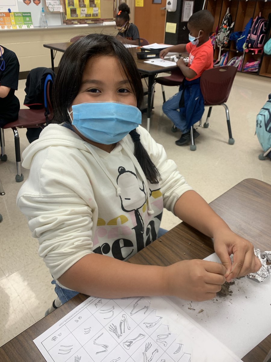 PartridgeElem's tweet photo. Third-grade students explored owl pellets as part of their science lesson today. #PartLeads https://t.co/dWop34bnpe