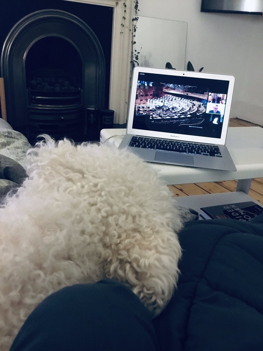 AlexandraLee24's tweet photo. Straight from lectures on Public Order Offences this afternoon, into the James Wood 2021 Lecture tonight. Thanks to @UofGLaw ✌🏻 https://t.co/GYF0ycGN66