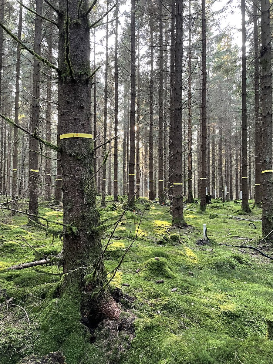 SaraWinterfeldt's tweet photo. Visit at @SE_Htm learning about atmospheric and ecosystem measurements. A lot of important and interesting data collected for a better understanding of our climate. Thanks for showing us around! #ItsElemental https://t.co/0yJM39yWqb