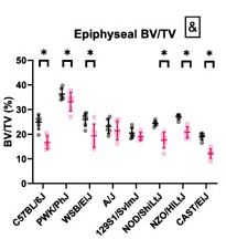 Michael Friedman tweet media