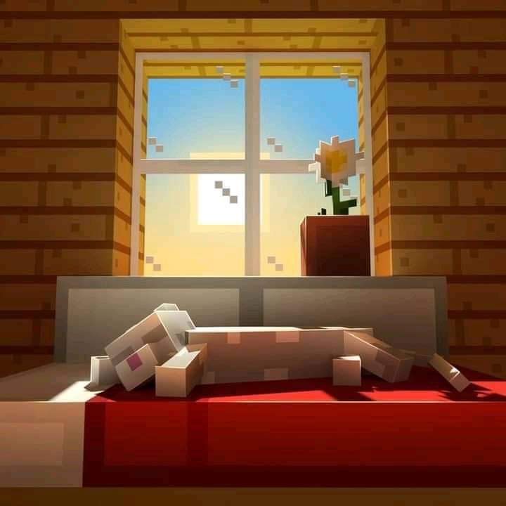 EduVisoni's tweet photo. https://t.co/JKBJBvYLhn