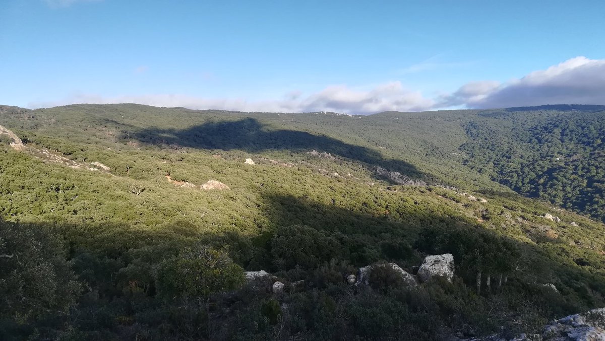 En algún lugar del corazón del Parque Natural #losalcornocales