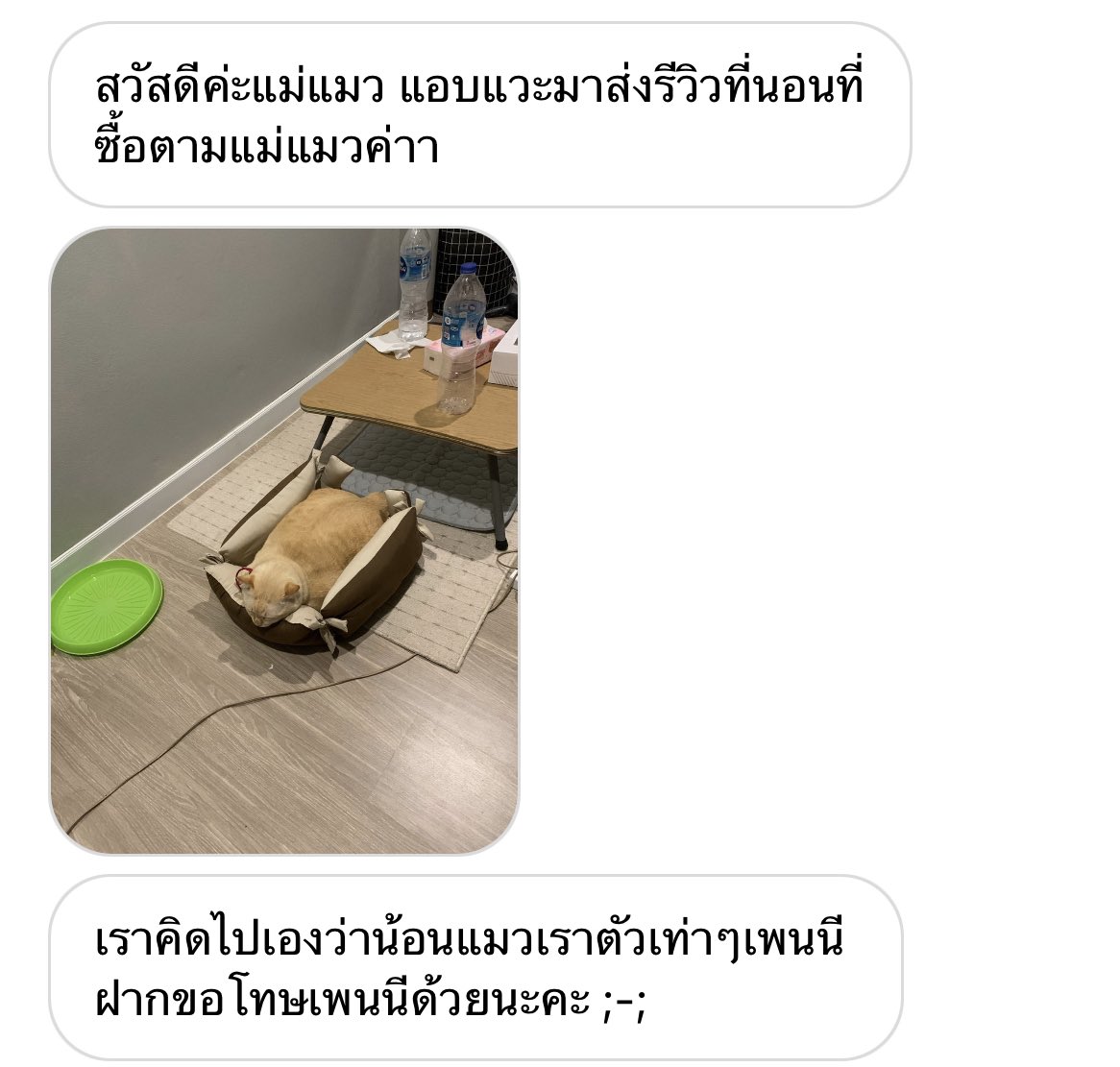 โบนัสเป็นแม่แมว tweet media