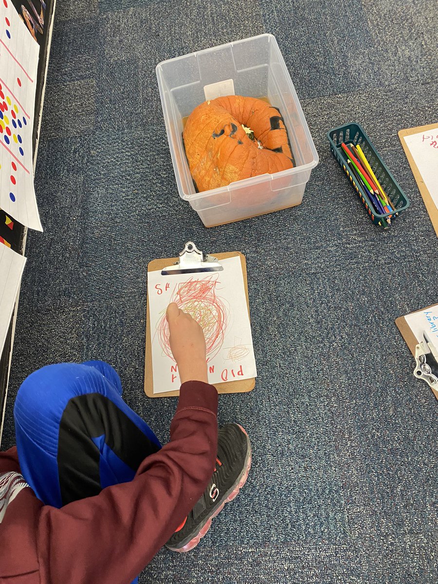 WilshireLibrary's tweet photo. Ss have been fascinated this week by the decomposition of our #LibraryPumpkins! Many have chosen to sketch 🎃 & record changes. We talked about what we could have done differently. One student suggested that we carved the pumpkins too early. #PumpkinInquiry #ONSchoolLibraries https://t.co/MR9FpFlQWr