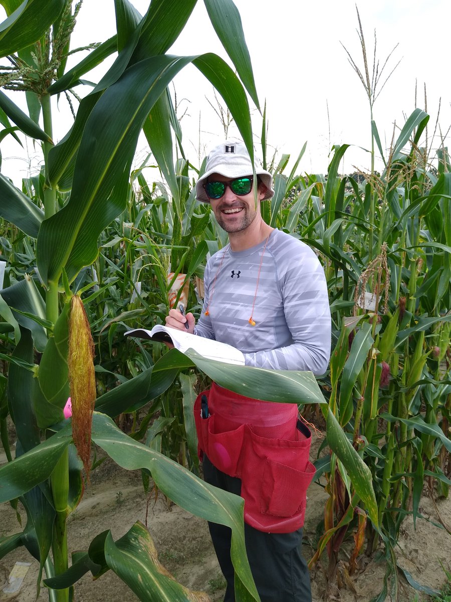person wearing hat and sunglasses holding book in cornfield