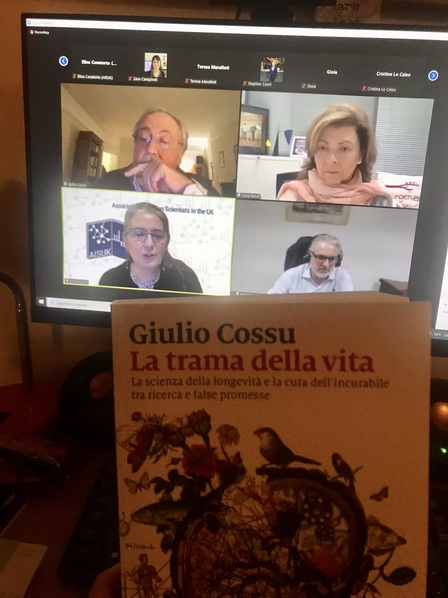 Arianna Ferrini tweet media