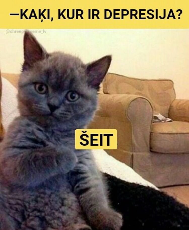 Fiorrra's tweet photo. Manuprāt, šim laikam atbilstoša meme. https://t.co/mrX4E2rO0I