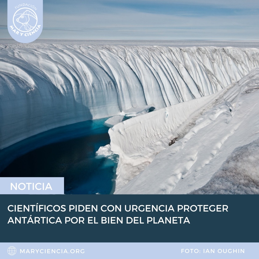 Con estudios y hechos científicos incuestionables, científicas y científicos piden poner urgencia a la protección las aguas antárticas. Su solicitud fue generada a los 26 países miembros de la Comisión para la Conservación de Recursos Vivos Marinos Antárticos (CCAMLR).