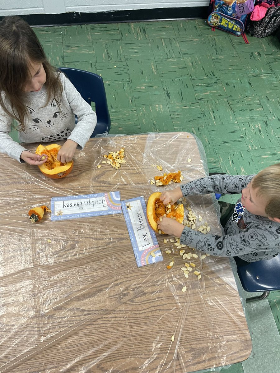 Exploring pumpkins using our 5 senses!