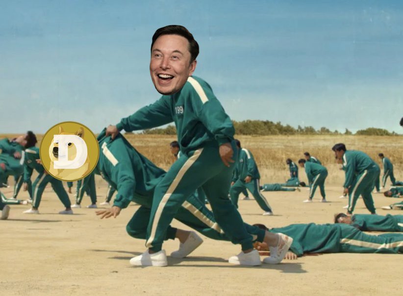 Elon_Musk_Club's tweet photo. @_hamster_coin https://t.co/8KzR0KTBBJ