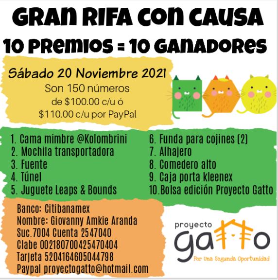 Comunidad, tenemos una Gran Rifa con causa, son 10 premios = 10 ganadores ‼🥳
Fecha : 20 de Noviembre
Costo $100 cada número o $110.00 por Paypal
Reporta tu pago por inbox o por whatsapp 551606-9067
Ayúdanos a seguir ayudando
#PorUnaSegundaOportunidad #Rifa #JacintoPifWarrior