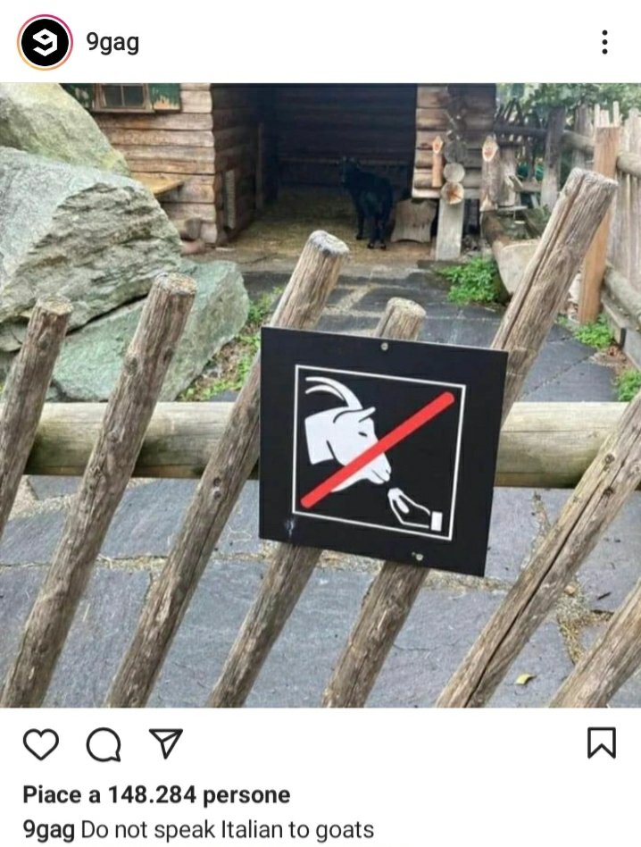 Stakct's tweet photo. Do not speak Italian to goats https://t.co/pUctmIIiY0