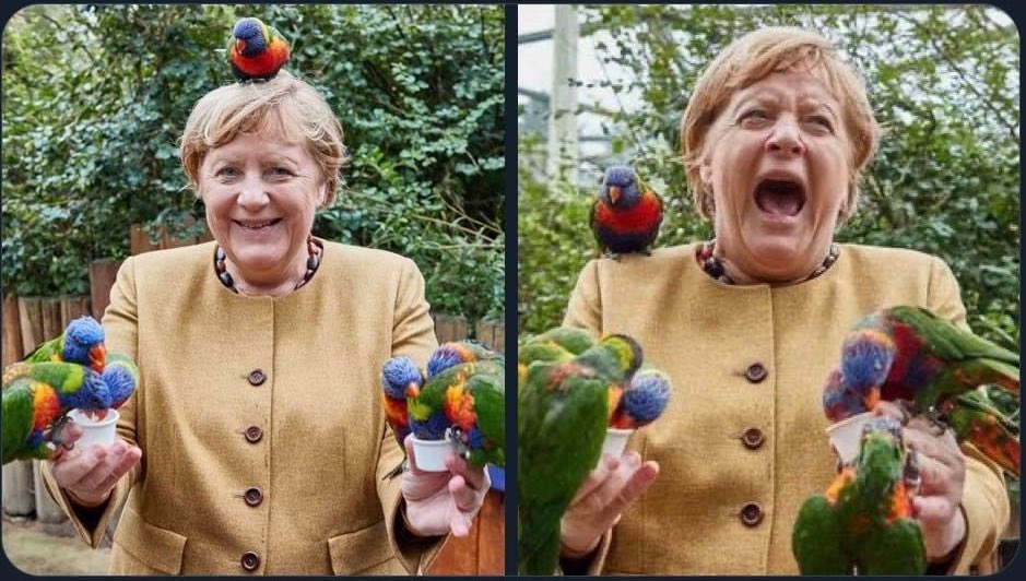Dr Meming (@dr_meming) on Twitter photo Me collecting the data vs me analysing the data
<a href="/OpenAcademics/">OpenAcademics</a> <a href="/AcademicChatter/">Academic Chatter™</a> #academictwitter #ECR #phdchat #phdfriend #phdvoice Me collecting the data vs me analysing the data
<a href="/OpenAcademics/">OpenAcademics</a> <a href="/AcademicChatter/">Academic Chatter™</a> #academictwitter #ECR #phdchat #phdfriend #phdvoice