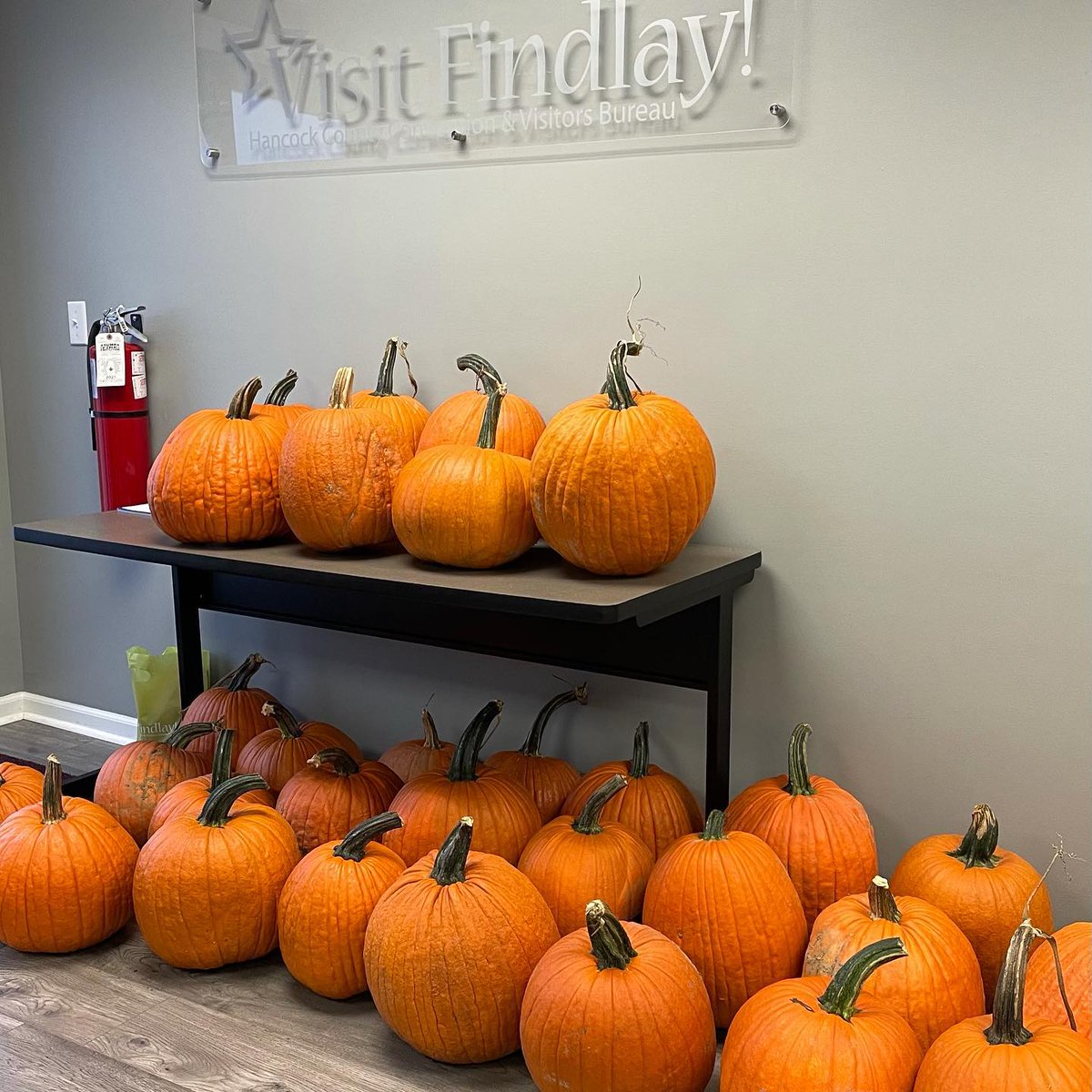 Downtown Findlay tweet media