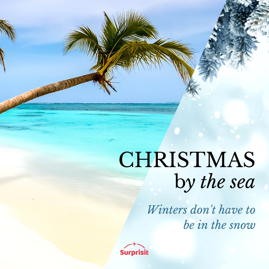 Why don't you spend #Christmas by the #Caribbean sea?🏝️ Winters aren't always meant to be grey and snowy...🎄 ☀️ 

buff.ly/2RDfFKF
-
#Beach #Sunny #Holidays