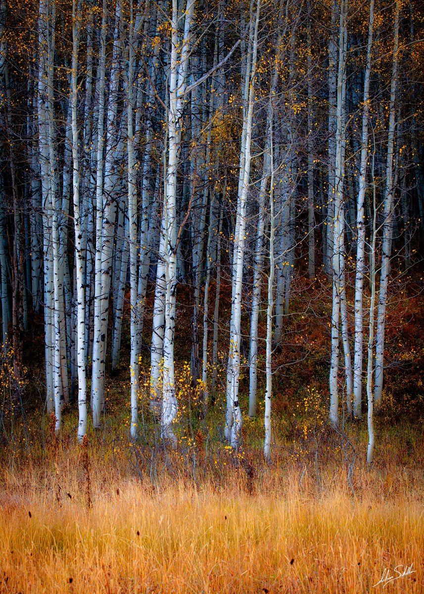 Mario Mendes (@infoluxo) on Twitter photo 