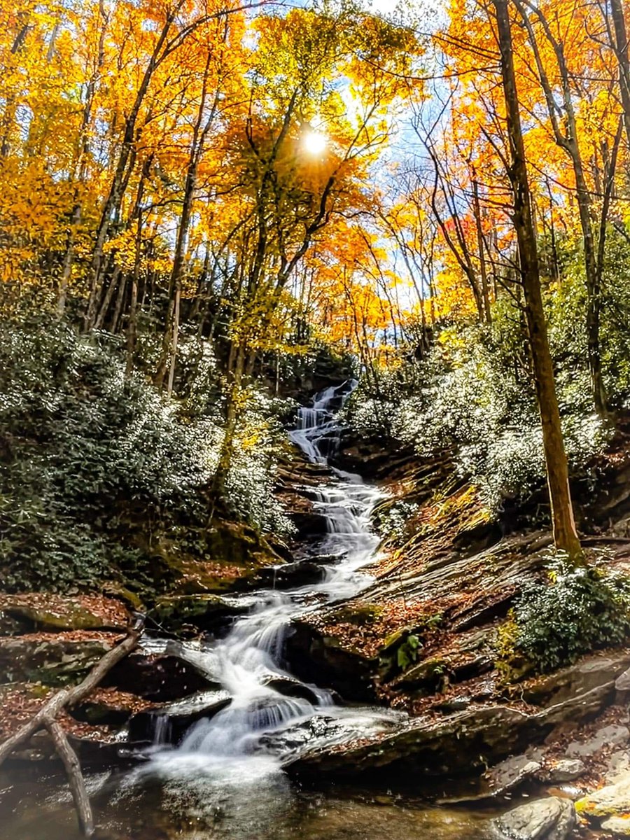 Sun beamed thru......💚💛

#nature #waterfalls  #ThursdayMotivation  #life