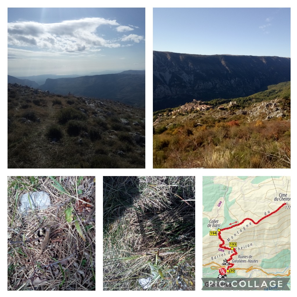 WillhelmGm's tweet photo. Toujours en quête de respiration sans dyspnée. Natation et kiné respi font place à la randonnée pour la Toussaint. Bises aux #apresJ20 https://t.co/7PezF2D8cy