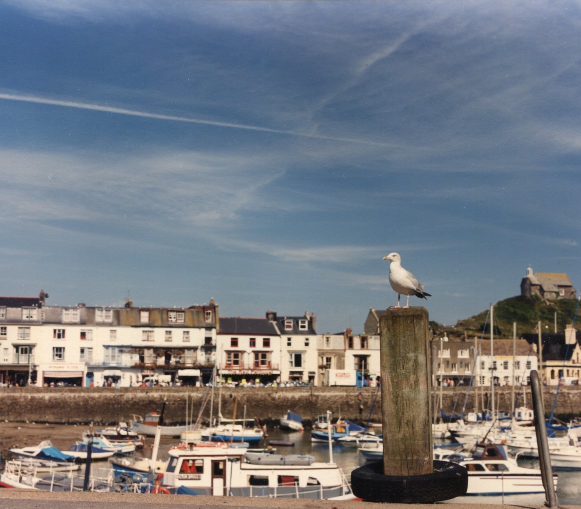 Museum of Policing in Devon & Cornwall tweet media