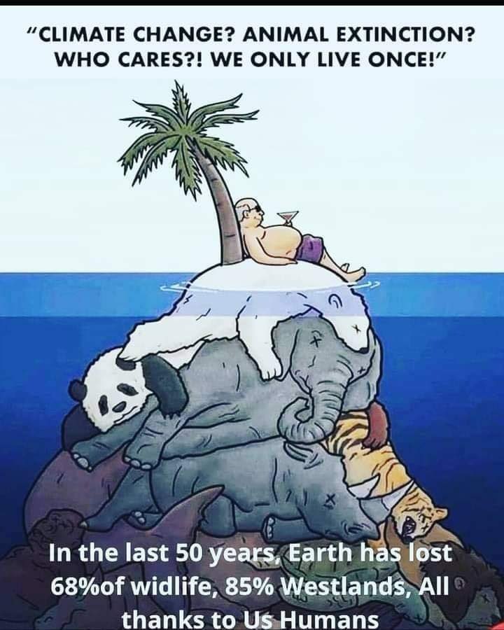 EarthyHana's tweet photo. #CreateADifferentWorld #DifferentWorld #environment #savetheplanet https://t.co/12Y4lATlu5