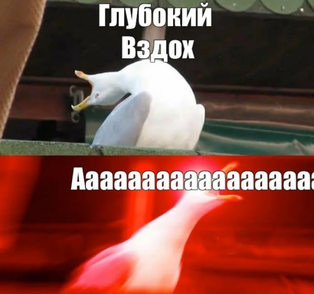 Часто глубокий вдох. Чайка Мем. Чайка смех Мем. Орущая Чайка АААААААААААААААААААААА.